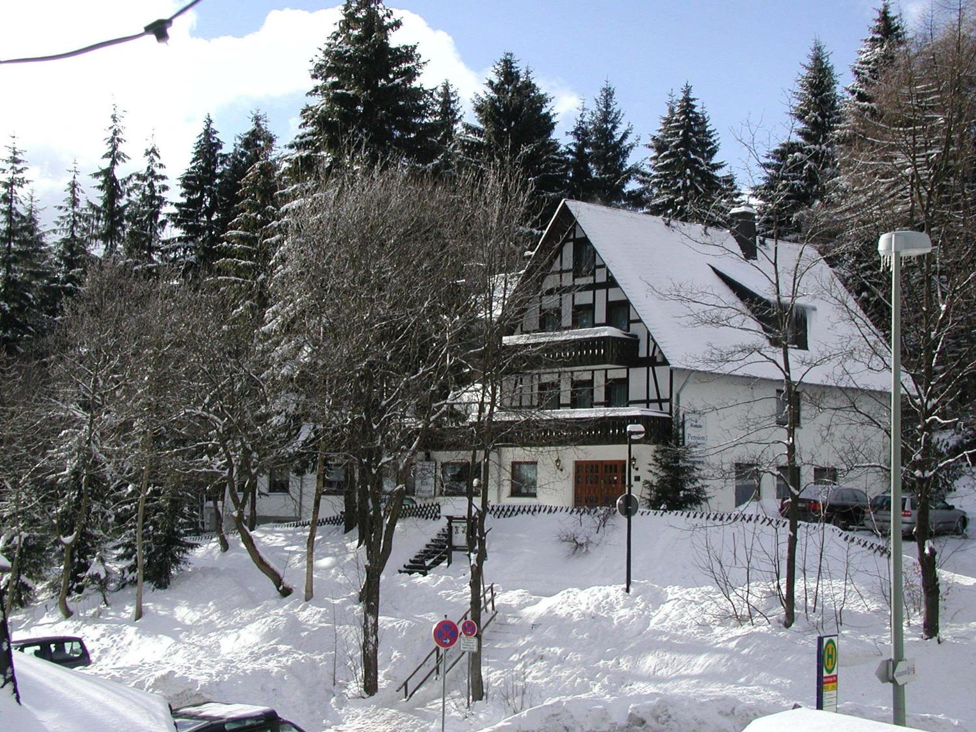 Pension Stiegelmeier Winterberg Extérieur photo